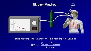 Pulmonary Function Tests PFT Lesson 3  Lung Volumes [upl. by Llemart]