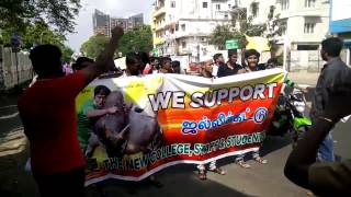 New College Students Protest for Jallikattu [upl. by Suivatnad]