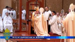 The Mass of Ordination and Installation of Auxiliary Bishops [upl. by Adraynek]