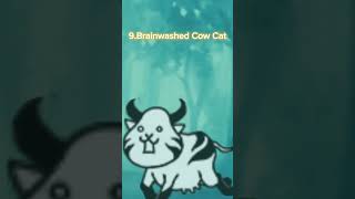 Ranking all Brainwashed Cat [upl. by Enenaj]