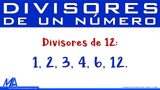 Divisores de un número [upl. by Ikcir]