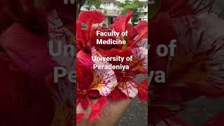 Peradeniya University  Faculty of Medicine [upl. by Rupert]