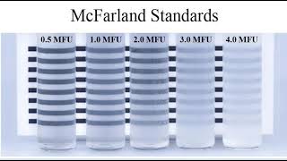 3 Antimicrobial susceptibility test limitations and McFarland standard [upl. by Siol]