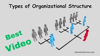 Types of Organizational Structure in management [upl. by Nipha]