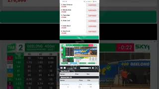 Grayhound Races How To Win In Grayhound Race Betpro Exchange Online Betting Pro Tips And Tricks [upl. by Enidaj]