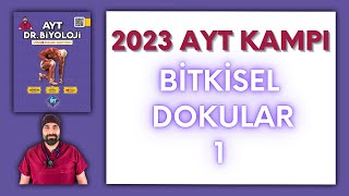 Bitkisel Dokular1 AYT Biyoloji Kampı Konu Anlatımı 12Sınıf 2024 Tayfa [upl. by Elka626]