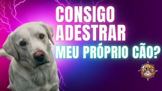 A PERGUNTA QUE ME FAZEM  CONSIGO ADESTRAR MEU CÃƒO  VEJA ISSO [upl. by Wakeen71]