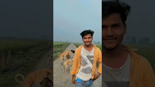 Hariyar sal ar kahe penne lu jab signal deve lu nahi viralvideo bhojpuri neelkamalsingdogreels [upl. by Fihsak]