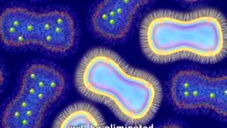 Animation of Antimicrobial Resistance [upl. by Nnaul59]