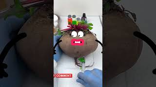 Can a Vegetable Get Plastic Surgery Watch This Crazy Experiment 😂 cartoon sausage animation [upl. by Eladnwahs]