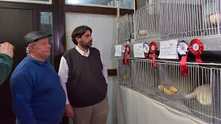 Intendente Metediera entregó premios a cabañeros canarios y acompañó actividades en Expo Prado [upl. by Eojyllib]