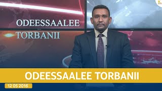 Ethiopia  Esat Oddeessalee Torbani August 11 2024 [upl. by Mcafee842]