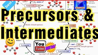 Intermediate  Precursors  Biochemistry  Chem  Biochemistry  PRECURSORS INTERMEDIATE DEFINITIONS [upl. by Lorn732]