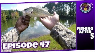 The Last Good Fishing Day Hays Nature Preserve Huntsville AL  Fishing After 5 [upl. by Leumek]