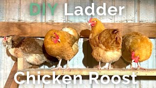 Build a chicken roost in under 30 minutes  Round or Flat Roosting Bars Which is Better [upl. by Turnheim]