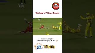 msdhonis wicketkeeping cricket bestbatsmanintheworld [upl. by Erbe]