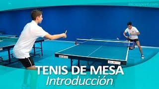 TENIS DE MESA 1 Introducción [upl. by Winn496]