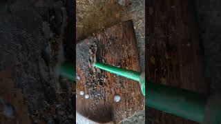 woodworm treatment agf ref [upl. by Dor784]