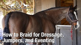 How to Braid a Horses Mane for Dressage Jumpers or Eventing [upl. by Ahtenek]