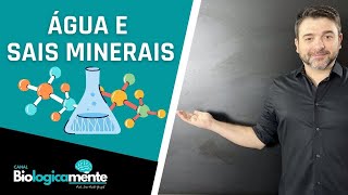 Bioquímica celular  Água e sais minerais [upl. by Cogen]