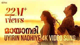 Mizhiyil Ninnum Lyric Video  Mayaanadhi  Aashiq Abu  Rex Vijayan  Shahabaz Aman  Tovino Thomas [upl. by Ariahay644]