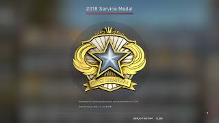 CSGO  2018 Service Medal  Counter Strike Global Offensive Badge Coin [upl. by Gadmann136]