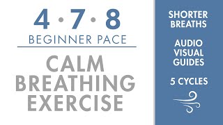 478 Calm Breathing Exercise  Beginner Pace  Short amp Easy Breaths  Simple Pranayama Exercise [upl. by Brandea737]