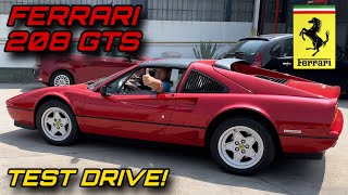 La Ferrari 208 GTS è pronta per la sua famiglia auto car ferrari viralvideo [upl. by Keppel634]