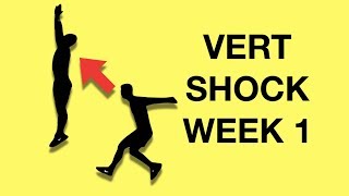 Vert Shock Program Workouts Week 1 Exercises Pre Shock Phase [upl. by Nerej]