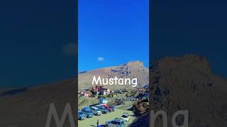 Mustang Short video Tamang vlogs [upl. by Deedee562]