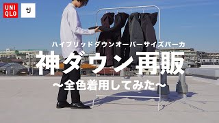 【UNQLO J】ハイブリッドダウンオーバーサイズパーカ 〜全色着用してみた〜【JilSander（ジルサンダー）】 [upl. by Nylkaj413]