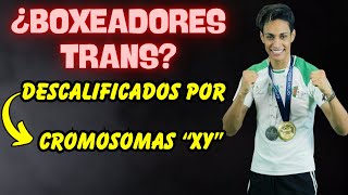 🟣 ¡POLÉMICA TRANS COMPETIRAN en BOXEO FEMENINO 2 BOXEADORES DESCALIFICADOS por CROMOSOMAS XY 🟣 [upl. by Cyma79]