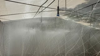 High pressure misting system  fogger system installation [upl. by Zenia]