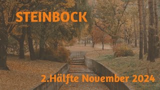 Steinbock 2 Hälfte November 2024  Mut zur Veränderung [upl. by Sikes]