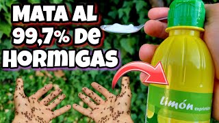 No VOLVERÁS a ver HORMIGAS ni HORMIGUEROS en tus PLANTAS Hogar o jardín con este Remedio casero [upl. by Anaeed]