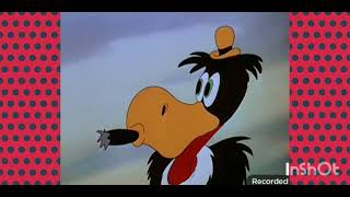 woody woodpecker droolers delight 1949 Full Episodes [upl. by Elleirua]