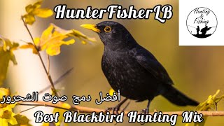 صوت الشحرور للصيد٤ أصوات  صوت دمج مميز Commun Black Bird Hunting Sound Mix blackbird hunting [upl. by Sanez]