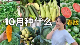 【种植91】10月种什么，最好的种菜时节，南半球春版 What to plant in October [upl. by Brabazon406]