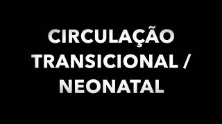 CIRCULAÇÃO FETAL TRANSICIONAL E NEONATAL [upl. by Lienad]