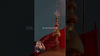 WAWAILA😭 noha yaali shia imamhussainshorts video trending youtube ali islam [upl. by Dagna495]