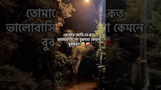 তোমারে আমি যে কত ভালোবাসিগোlove capson newsong viralshorts ytshorts [upl. by Ajup]