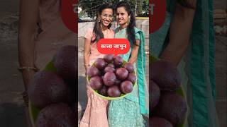 काला जामुन  गुलाब जामुन Kala Jamun kalajamun gulabjam recipe shorts mansijayalifestylevlogs [upl. by Emawk443]