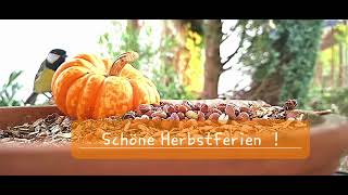 Schöne Herbstferien [upl. by Lezah]