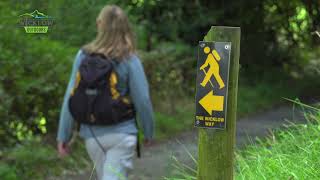 WICKLOW WAY VIDEO GUIDE Section 5 and 6 Aughavannagh to Tinahely and Tinahely to Clonegal [upl. by Nednil295]