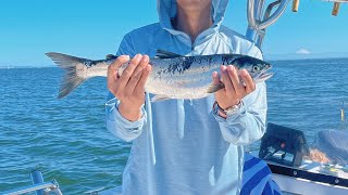 Salmon Fishing Washington State  Seattle Diaries [upl. by Alvita]