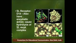 Plant Hormones Strigolactones and Salicylic Acid  VIII [upl. by Malim74]