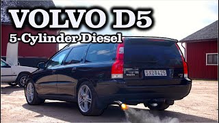 Best of Volvo D5 Sounds – Loud 5Cylinder Turbo Diesels [upl. by Llyrat]