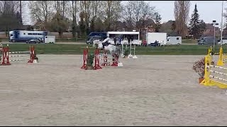 Cahil v Cornet Obolensky und Lucas Wenz  Platz 4 im MSpringen [upl. by Alaster]