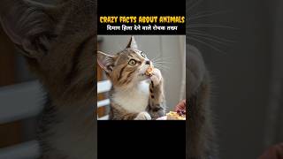 Crazy Facts About Animals🥵🤯  Amazing Facts  facts shorts [upl. by Millhon921]