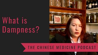 What is Dampness The Chinese Medicine Podcast with Marie Hopkinson [upl. by Eseryt]